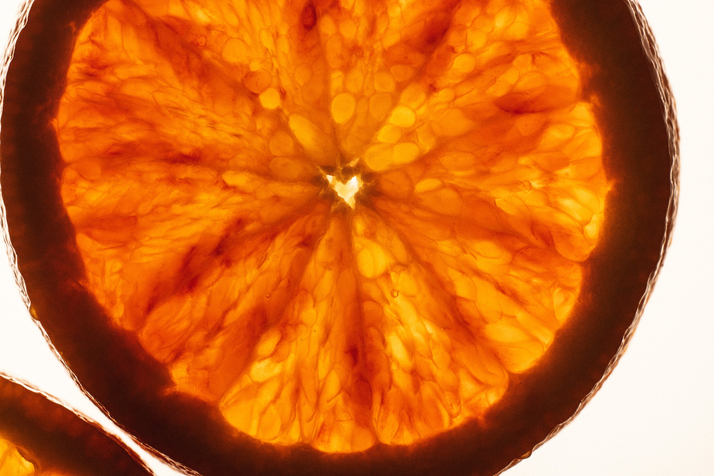 Close-up of a dried orange slice on a white background