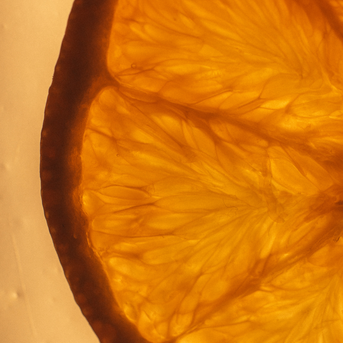 Close-up of a sliced orange with juicy interior and skin texture.